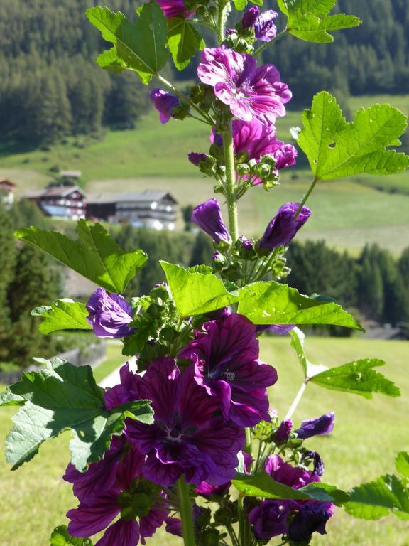 Haus Panoramablick Apartment Kals am Grossglockner Bagian luar foto